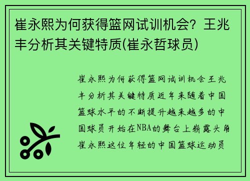 崔永熙为何获得篮网试训机会？王兆丰分析其关键特质(崔永哲球员)